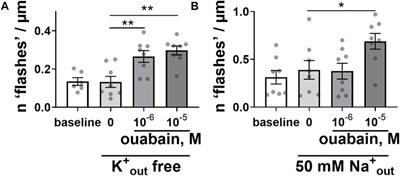 The microtubule network enables Src kinase interaction with the Na,K-ATPase to generate Ca2+ flashes in smooth muscle cells